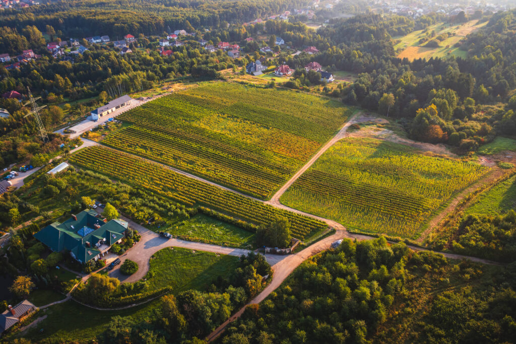 Winnica Libiąż – Regionalne wina naszej polskiej produkcji