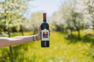 Winnica Libiąż – Regionalne wina naszej polskiej produkcji